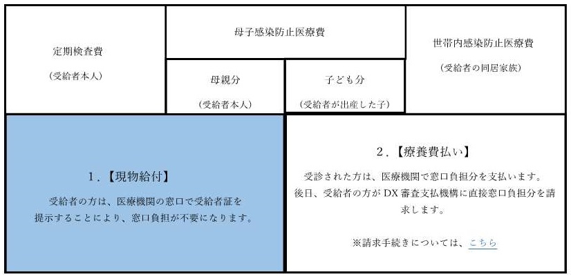画像：公費負担医療制度の概要