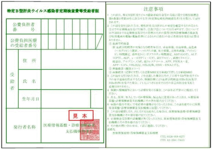 画像：特定B型肝炎ウイルス感染者定期検査費等受給者証